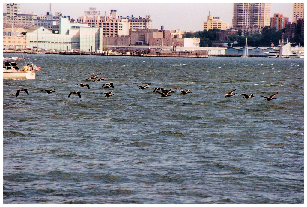 10 - New-York (21).jpg